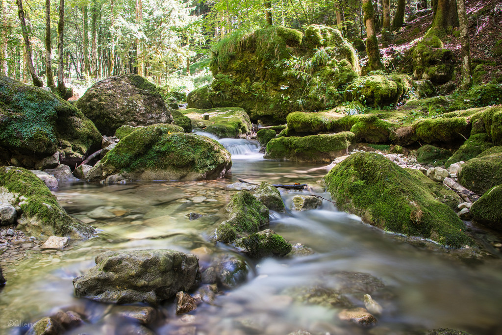 Cascades du hérisson